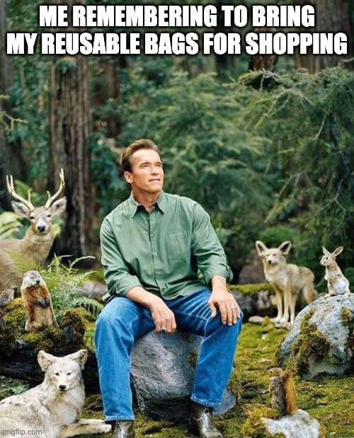 Conservation meme | ME REMEMBERING TO BRING MY REUSABLE BAGS FOR SHOPPING | image tagged in arnold nature | made w/ Imgflip meme maker