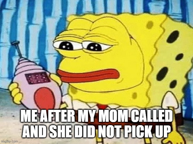 my mom for real | ME AFTER MY MOM CALLED AND SHE DID NOT PICK UP | image tagged in funny memes | made w/ Imgflip meme maker