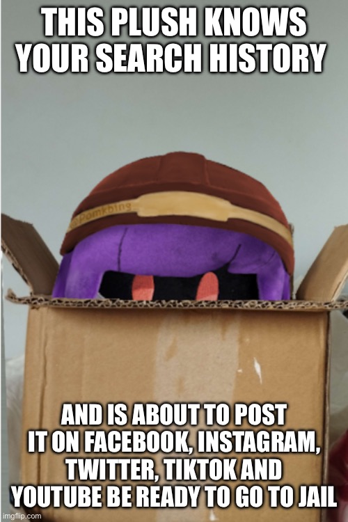 This is a joke | THIS PLUSH KNOWS YOUR SEARCH HISTORY; AND IS ABOUT TO POST IT ON FACEBOOK, INSTAGRAM, TWITTER, TIKTOK AND YOUTUBE BE READY TO GO TO JAIL | image tagged in doll plush | made w/ Imgflip meme maker