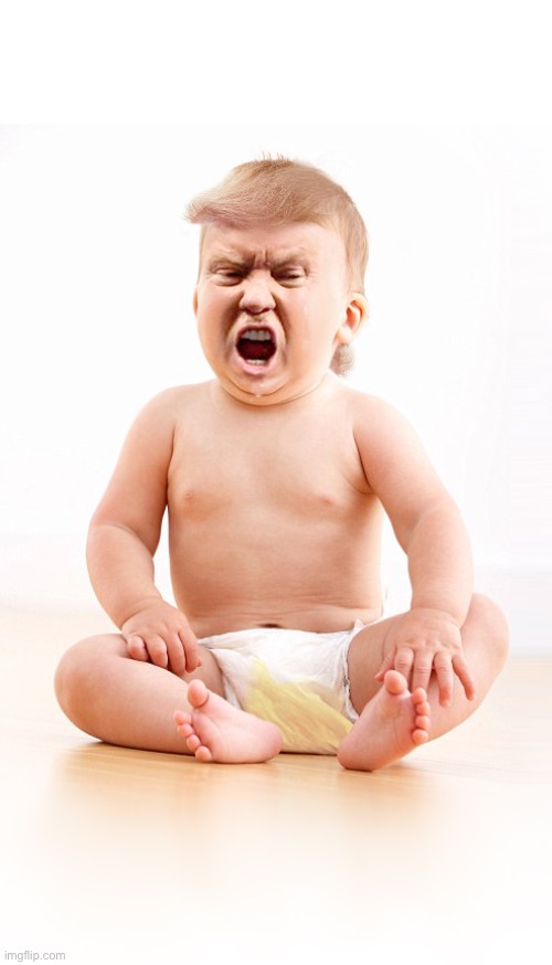Q | image tagged in donald trump infant in wet diaper | made w/ Imgflip meme maker