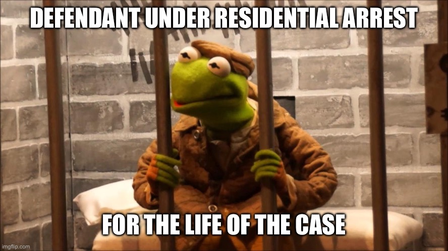 For the Last 18 Years | DEFENDANT UNDER RESIDENTIAL ARREST; FOR THE LIFE OF THE CASE | image tagged in kermit in jail,all this time | made w/ Imgflip meme maker