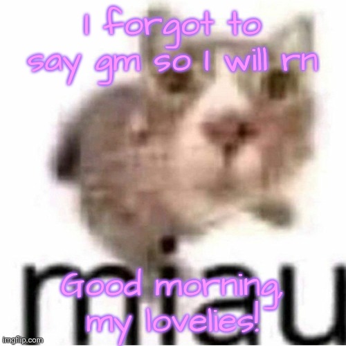 miau | I forgot to say gm so I will rn; Good morning, my lovelies! | image tagged in miau | made w/ Imgflip meme maker