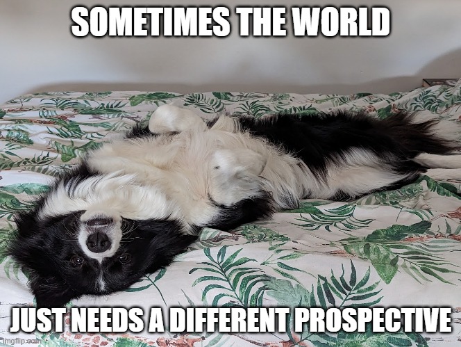New Perspective | SOMETIMES THE WORLD; JUST NEEDS A DIFFERENT PROSPECTIVE | image tagged in perspective,upsidedown,view,new | made w/ Imgflip meme maker