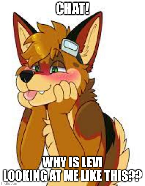 CHAT! WHY IS LEVI LOOKING AT ME LIKE THIS?? | made w/ Imgflip meme maker