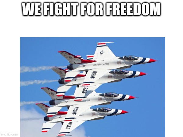 WE FIGHT FOR FREEDOM | made w/ Imgflip meme maker