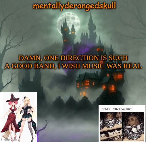 DAMN, ONE DIRECTION IS SUCH A GOOD BAND, I WISH MUSIC WAS REAL | image tagged in mentallyderangedskull | made w/ Imgflip meme maker