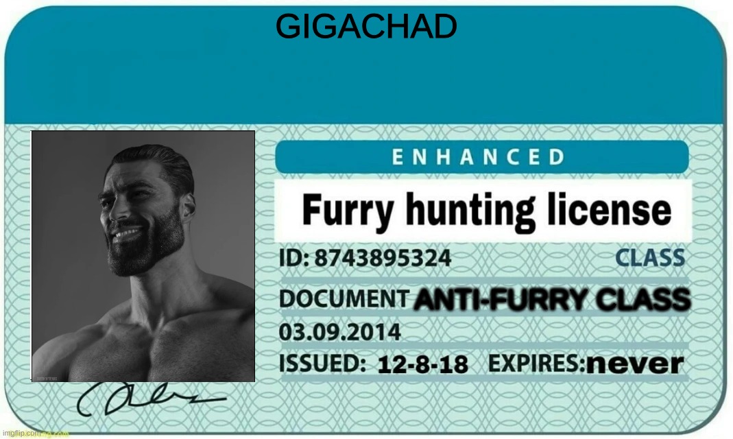 furry hunting license | GIGACHAD; ANTI-FURRY CLASS | image tagged in furry hunting license | made w/ Imgflip meme maker