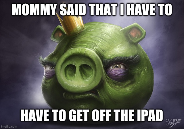 /j | MOMMY SAID THAT I HAVE TO; HAVE TO GET OFF THE IPAD | image tagged in angry birds realistic king pig | made w/ Imgflip meme maker