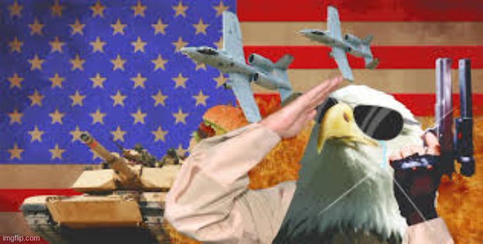 MURICA | image tagged in murica | made w/ Imgflip meme maker