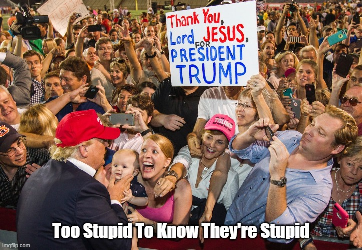 Too Stupid To Know They're Stupid | Too Stupid To Know They're Stupid | image tagged in stupidity,ignorance,christian conservatives,conservative christianity | made w/ Imgflip meme maker