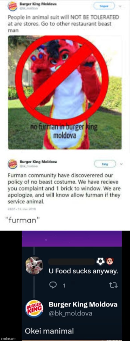 Wanted to post this here bc I thought it was funny, please don't get offended >w< | image tagged in furman,silly,bunger king | made w/ Imgflip meme maker