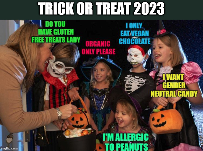 TRICK OR TREAT 2023 | image tagged in halloween 2023 | made w/ Imgflip meme maker