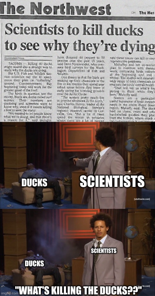 I wonder what it could be killing them... | SCIENTISTS; DUCKS; SCIENTISTS; DUCKS; "WHAT'S KILLING THE DUCKS??" | image tagged in memes,who killed hannibal | made w/ Imgflip meme maker