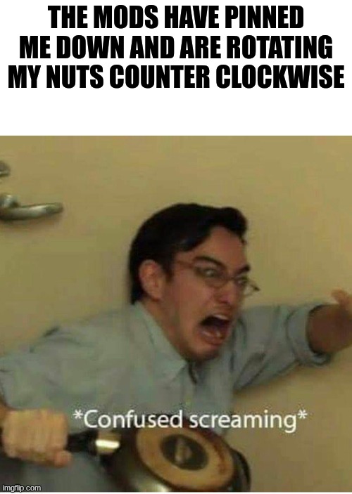 confused screaming | THE MODS HAVE PINNED ME DOWN AND ARE ROTATING MY NUTS COUNTER CLOCKWISE | image tagged in confused screaming,mods pin him down and twist his nuts counterclockwise | made w/ Imgflip meme maker