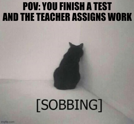 Sobbing cat | POV: YOU FINISH A TEST AND THE TEACHER ASSIGNS WORK | image tagged in sobbing cat,unhelpful teacher | made w/ Imgflip meme maker