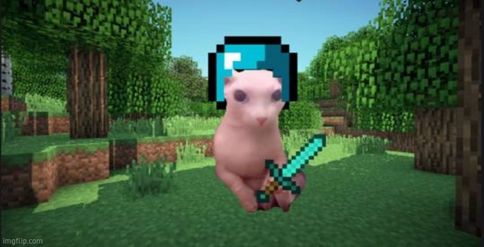 Minecraft bingus | image tagged in minecraft bingus | made w/ Imgflip meme maker