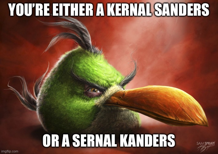 kfc moment | YOU’RE EITHER A KERNAL SANDERS; OR A SERNAL KANDERS | image tagged in realistic angry bird | made w/ Imgflip meme maker