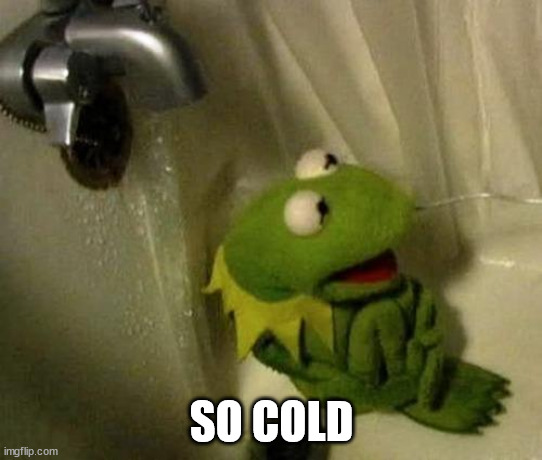 Kermit on Shower | SO COLD | image tagged in kermit on shower | made w/ Imgflip meme maker