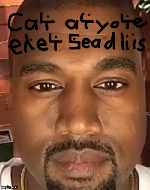 I replaced some letters | image tagged in kanye west stare,pixtu | made w/ Imgflip meme maker