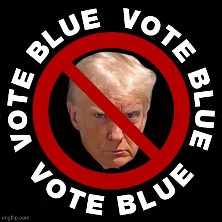 VOTE BLUE... | image tagged in vote,blue | made w/ Imgflip meme maker