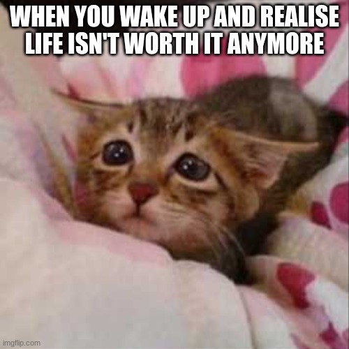 Sad Kitty Sick In Bed | WHEN YOU WAKE UP AND REALISE LIFE ISN'T WORTH IT ANYMORE | image tagged in sad kitty sick in bed,depression | made w/ Imgflip meme maker