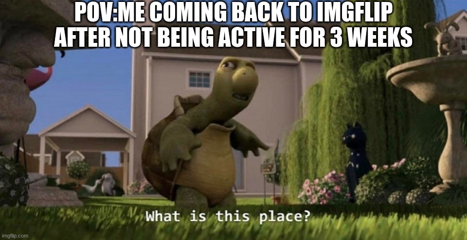 fr | POV:ME COMING BACK TO IMGFLIP AFTER NOT BEING ACTIVE FOR 3 WEEKS | image tagged in what is this place,lol | made w/ Imgflip meme maker