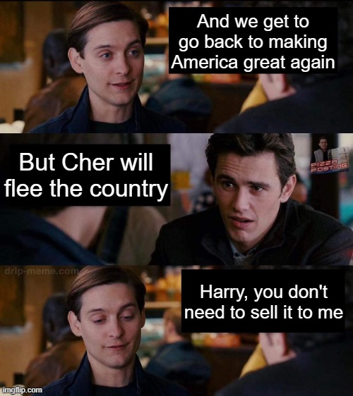 Win-win | And we get to go back to making America great again; But Cher will flee the country; Harry, you don't need to sell it to me | image tagged in harry you don't need to sell it to me | made w/ Imgflip meme maker