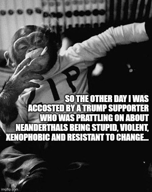 The irony was not lost on me | SO THE OTHER DAY I WAS ACCOSTED BY A TRUMP SUPPORTER WHO WAS PRATTLING ON ABOUT NEANDERTHALS BEING STUPID, VIOLENT, XENOPHOBIC AND RESISTANT TO CHANGE... | image tagged in zip the smoking chimp,irony | made w/ Imgflip meme maker