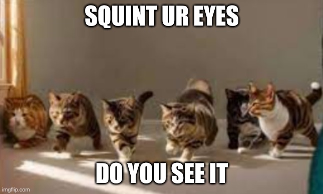 SQUINT UR EYES; DO YOU SEE IT | made w/ Imgflip meme maker