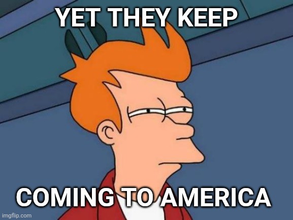 Futurama Fry Meme | YET THEY KEEP COMING TO AMERICA | image tagged in memes,futurama fry | made w/ Imgflip meme maker