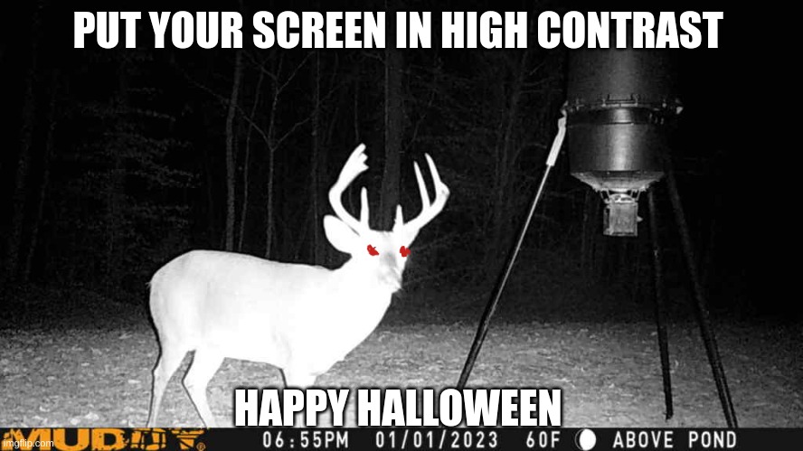 happy halloween | PUT YOUR SCREEN IN HIGH CONTRAST; HAPPY HALLOWEEN | image tagged in deer,camera,whitetail deer | made w/ Imgflip meme maker