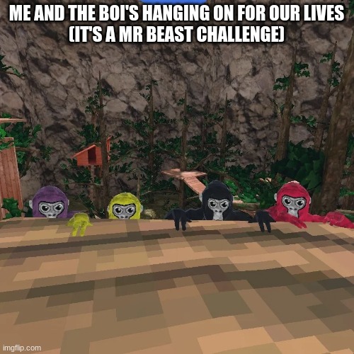Gorilla Tag | ME AND THE BOI'S HANGING ON FOR OUR LIVES
(IT'S A MR BEAST CHALLENGE) | image tagged in gorilla tag | made w/ Imgflip meme maker