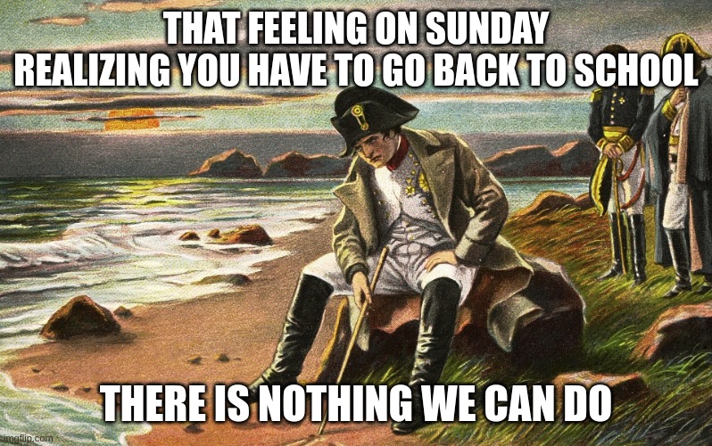 nothing we can do | THAT FEELING ON SUNDAY REALIZING YOU HAVE TO GO BACK TO SCHOOL; THERE IS NOTHING WE CAN DO | image tagged in napoleon | made w/ Imgflip meme maker