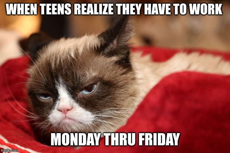 Teen after they graduate | WHEN TEENS REALIZE THEY HAVE TO WORK; MONDAY THRU FRIDAY | image tagged in work | made w/ Imgflip meme maker