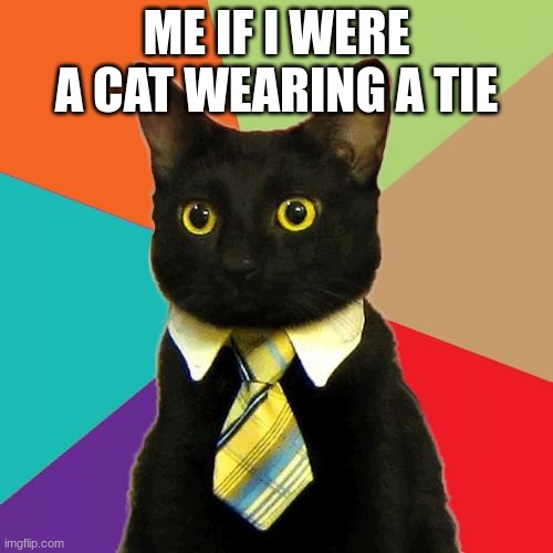 Business Cat Meme | ME IF I WERE A CAT WEARING A TIE | image tagged in memes,business cat,blowingmyheadoffwithamagnum | made w/ Imgflip meme maker