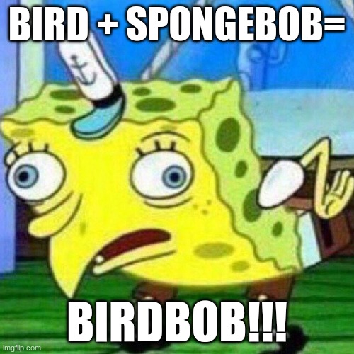 not wrong tho | BIRD + SPONGEBOB=; BIRDBOB!!! | image tagged in triggerpaul | made w/ Imgflip meme maker