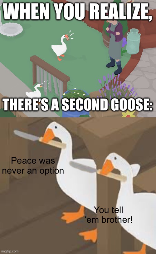 Peace was never an option | WHEN YOU REALIZE, THERE’S A SECOND GOOSE:; Peace was never an option; You tell ‘em brother! | image tagged in peace was never an option,untitled goose game | made w/ Imgflip meme maker