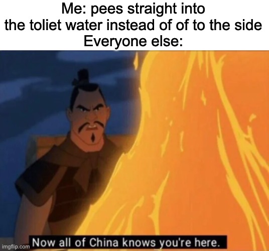 true tho | Me: pees straight into the toliet water instead of of to the side
Everyone else: | image tagged in now all of china knows you're here,toliet,relatable | made w/ Imgflip meme maker