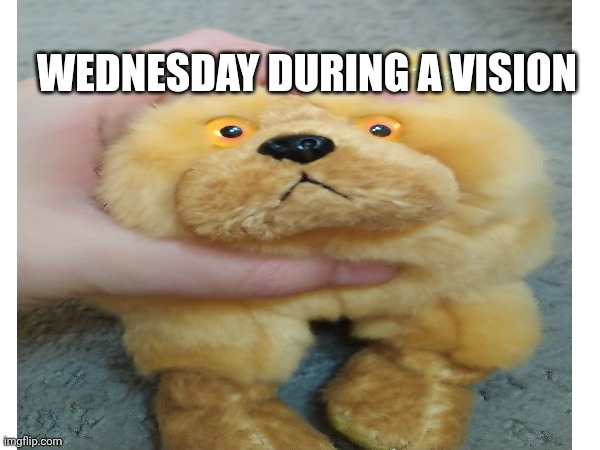 WEDNESDAY DURING A VISION | image tagged in funny | made w/ Imgflip meme maker