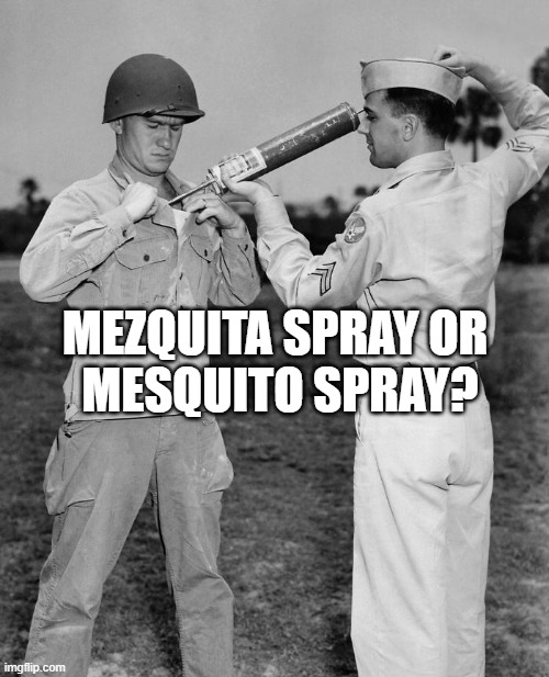 Spanish Source Word for the French Caribbean Malaria carrier, future English word for Pests | MEZQUITA SPRAY OR 
MESQUITO SPRAY? | image tagged in mezquita,mosquito attack,disease,tropical,terrorists,world occupied | made w/ Imgflip meme maker