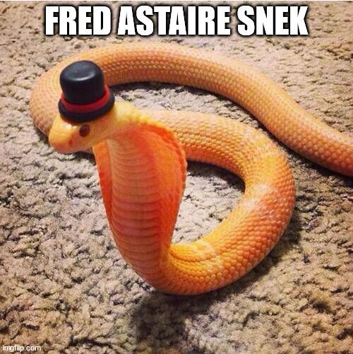 Dapper Snek | FRED ASTAIRE SNEK | image tagged in dapper snek | made w/ Imgflip meme maker