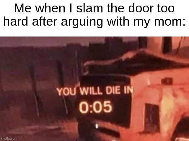 You will die in 0:05 | Me when I slam the door too hard after arguing with my mom: | image tagged in you will die in 0 05 | made w/ Imgflip meme maker