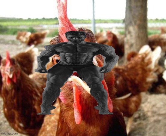 Chicken | image tagged in chicken | made w/ Imgflip meme maker