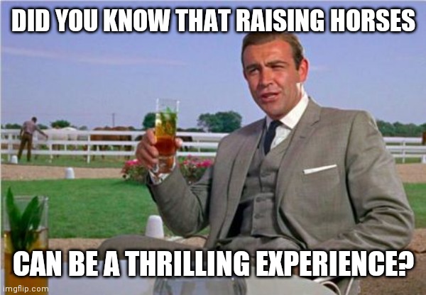 Raising horses | DID YOU KNOW THAT RAISING HORSES; CAN BE A THRILLING EXPERIENCE? | image tagged in sean connery,funny memes | made w/ Imgflip meme maker