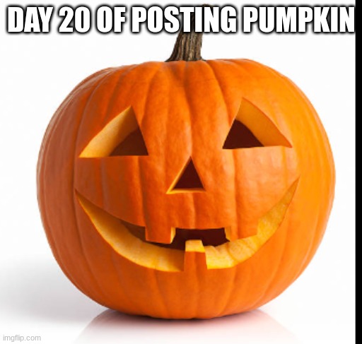 pumpkin day 20 | DAY 20 OF POSTING PUMPKIN | image tagged in pumkin | made w/ Imgflip meme maker