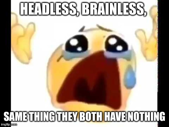 cursed crying emoji | HEADLESS, BRAINLESS, SAME THING THEY BOTH HAVE NOTHING | image tagged in cursed crying emoji | made w/ Imgflip meme maker