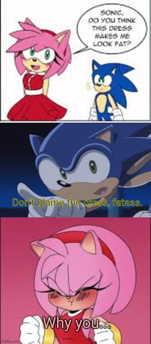 Amy Rose Problems | Don't blame the dress, fatass. Why you... | image tagged in kids don't - sonic x,amy rose,fatass | made w/ Imgflip meme maker