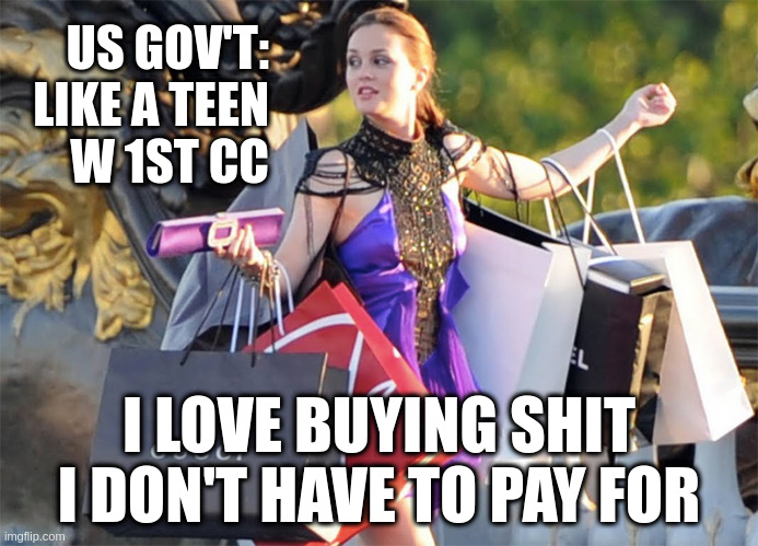 Where are the adults? | US GOV'T:
LIKE A TEEN
W 1ST CC; I LOVE BUYING SHIT I DON'T HAVE TO PAY FOR | image tagged in shoppingaddict,national debt,congress,us gov,credit,criminal | made w/ Imgflip meme maker