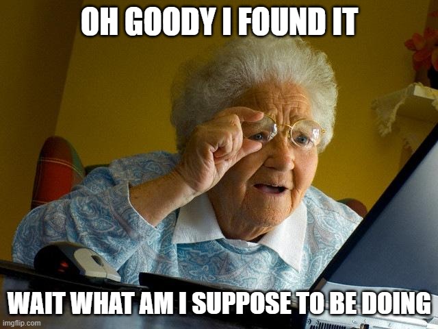 Grandma Finds The Internet | OH GOODY I FOUND IT; WAIT WHAT AM I SUPPOSE TO BE DOING | image tagged in memes,grandma finds the internet | made w/ Imgflip meme maker