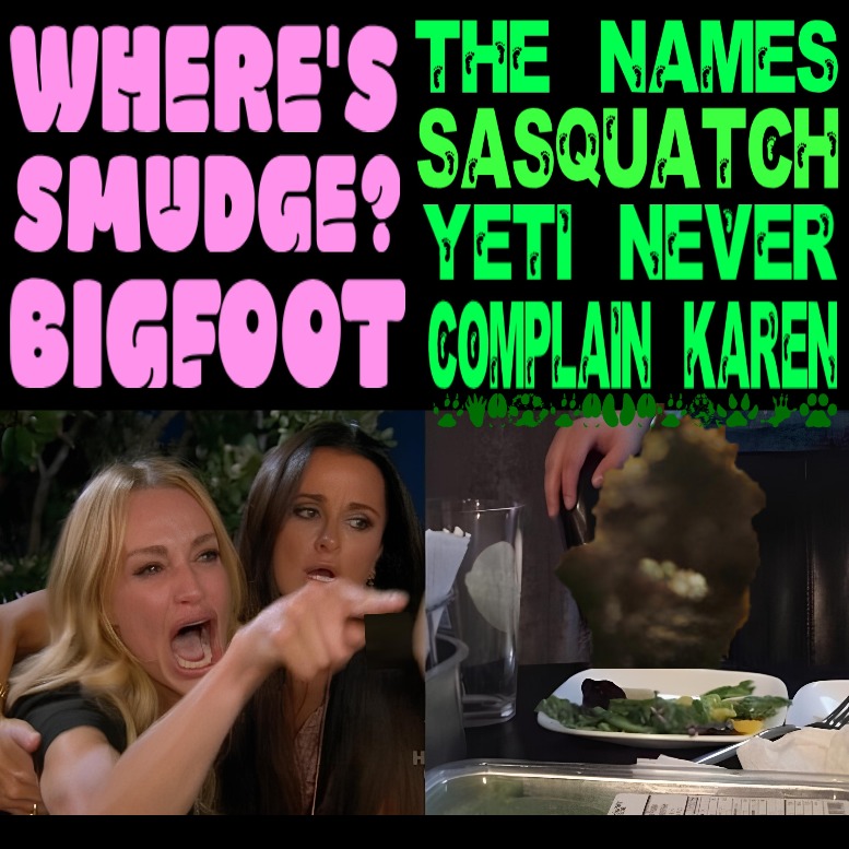 where's smudge? | image tagged in bigfoot,smudge the cat,woman yelling at smudge the cat | made w/ Imgflip meme maker